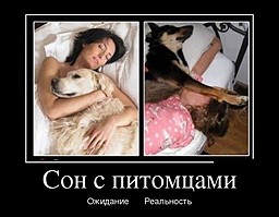 best-girl-foto