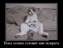 best-girl-foto