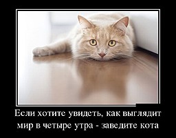 best-girl-foto