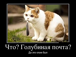 best-girl-foto