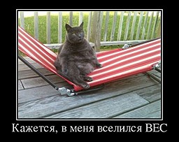 best-girl-foto