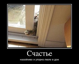 best-girl-foto