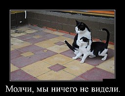 best-girl-foto