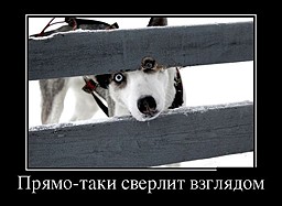 best-girl-foto