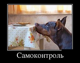 best-girl-foto