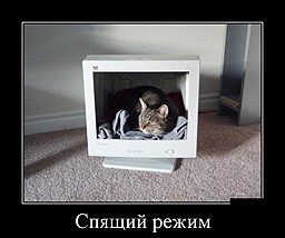 best-girl-foto