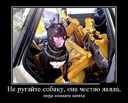best-girl-foto