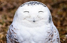 best-girl-foto