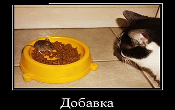 Самые прикольные демотиваторы