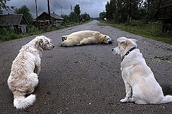 лучшие анекдоты