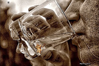 лучшие анекдоты